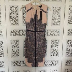 Taupe and Navy sheath dress size 0/XS